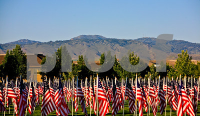 Flags photo