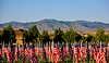 Light-Master > Flags photo