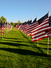 Light-Master > Flags photo