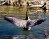 Light-Master > MK Nature Center - Boise photo