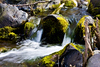 Light-Master > MK Nature Center - Boise photo