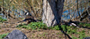 Light-Master > MK Nature Center - Boise photo